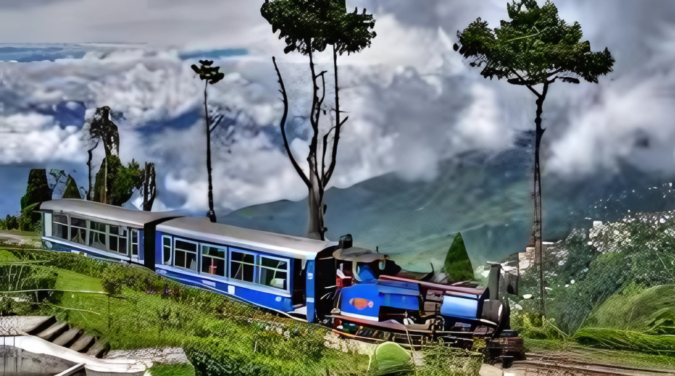 Domestic Tours (India)